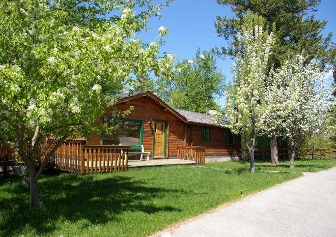 Creekside cabin