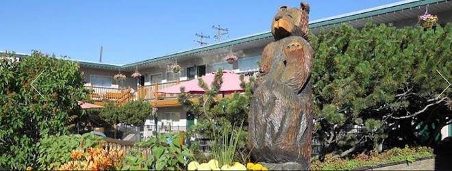 Lazy bear lodge