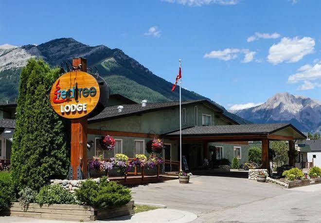 Red tree lodge