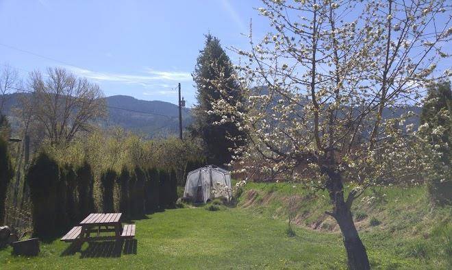 Beaver Falls Motel & Rv Park Image