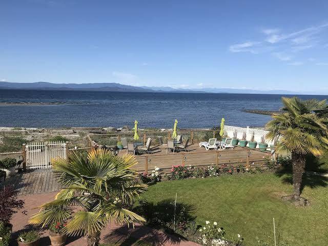 Buena vista by the sea