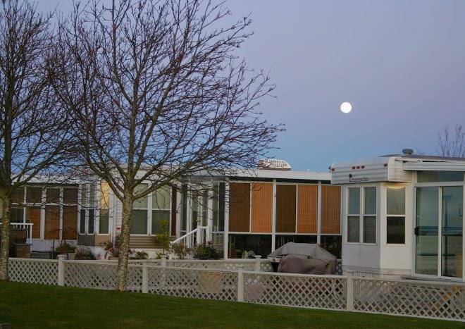 Surfside rv resort ltd