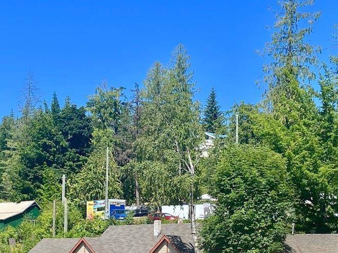 Mabel lake resort & marina