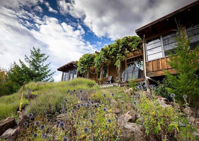 Tin poppy retreat