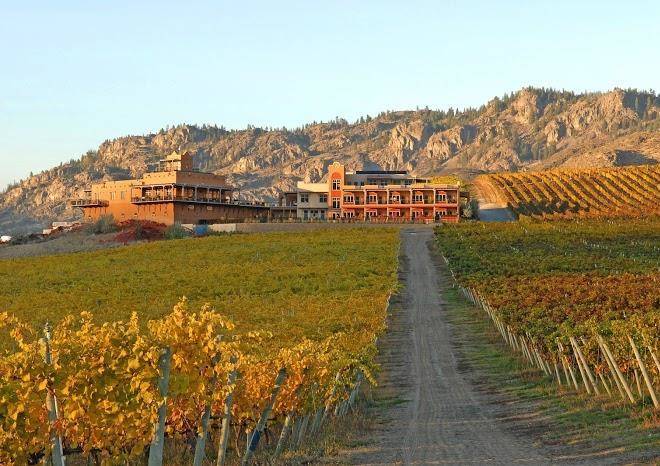Burrowing owl estate winery