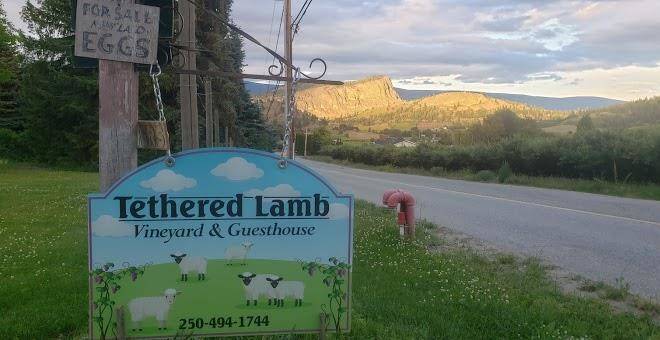 Tethered lamb