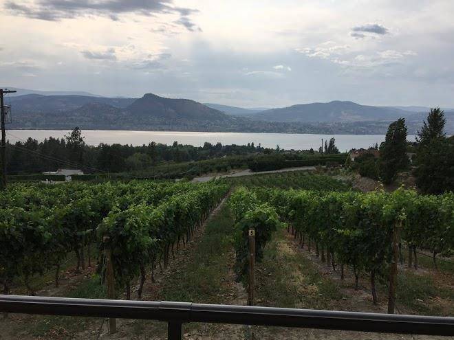 The grape escape bed and breakfast