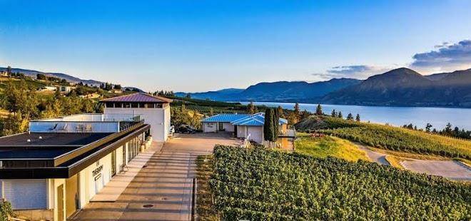 Therapy vineyards & inn
