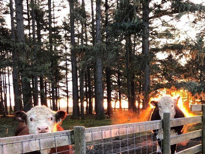 Richardson ranch