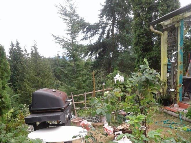 Langdale heights rv park