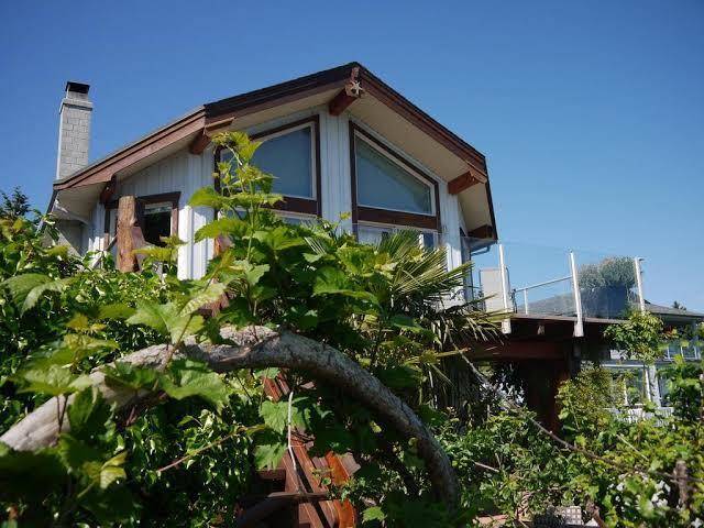 Starfish studio