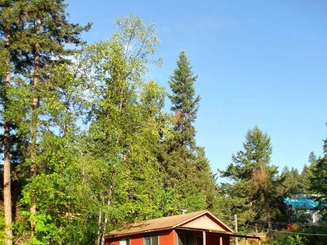 Hitch n rail resort