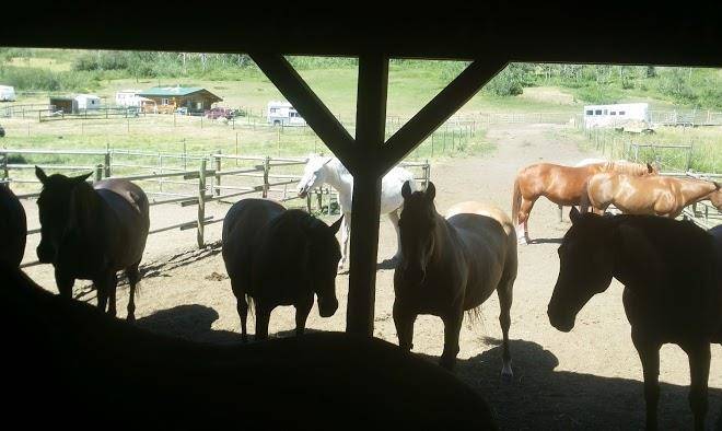 Jandana ranch