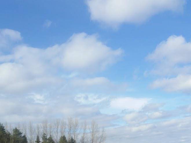 Cloverdale b&b