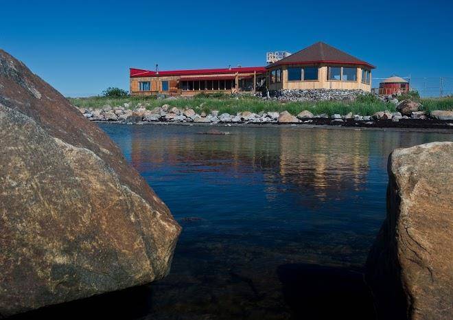 Seal river heritage lodge