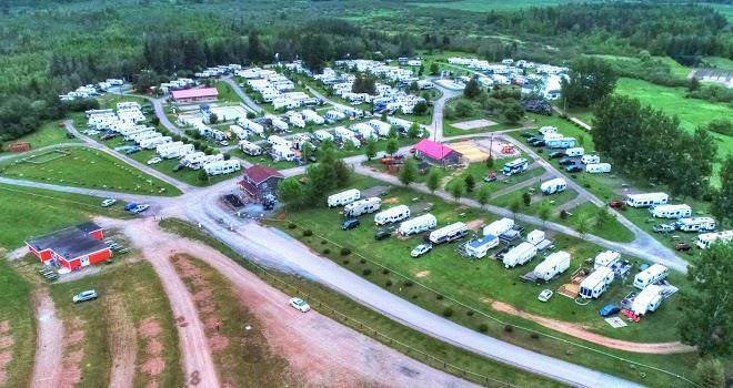 Sussex koa