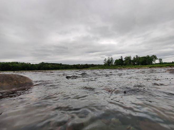 Rapid waters lodge