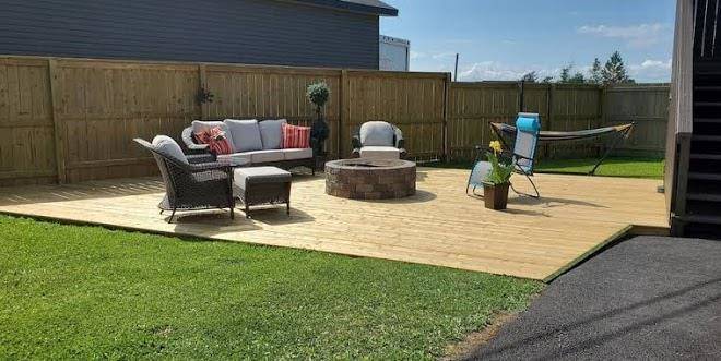 The Blue Jay Nest Image