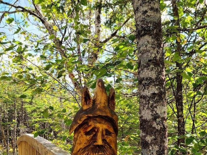The wilds resort at salmonier river