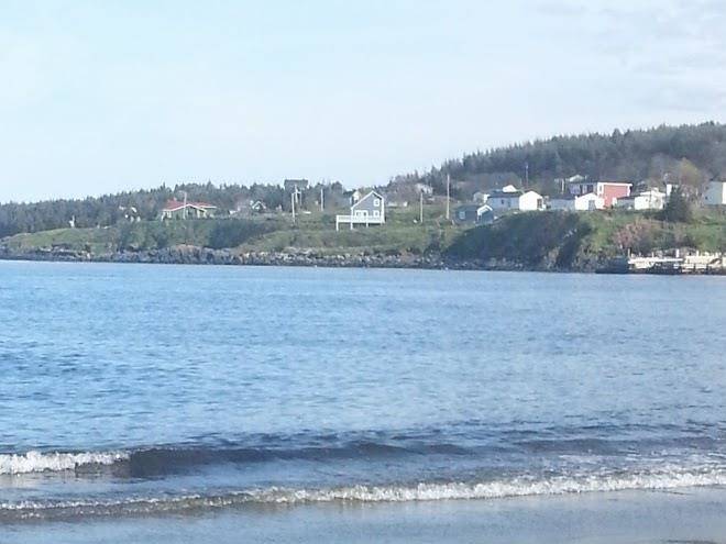 Witless bay suites