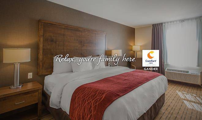 Comfort inn gander