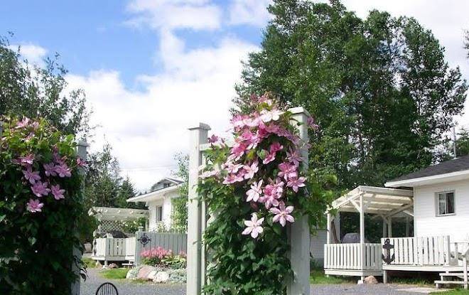 By d'bay cabins