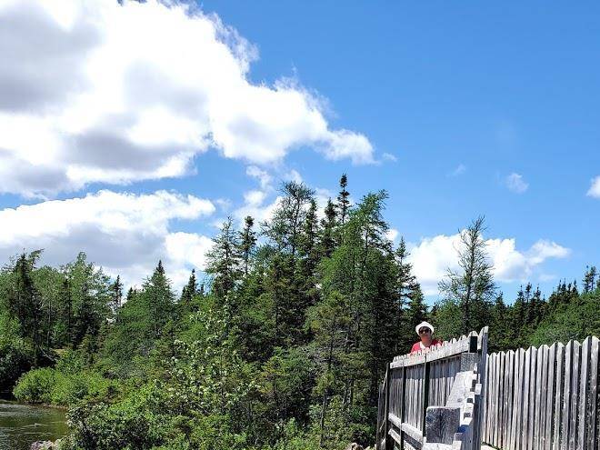 David smallwood rv park