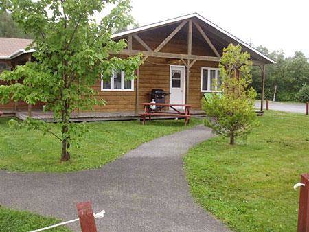Pinetree lodge & cabins