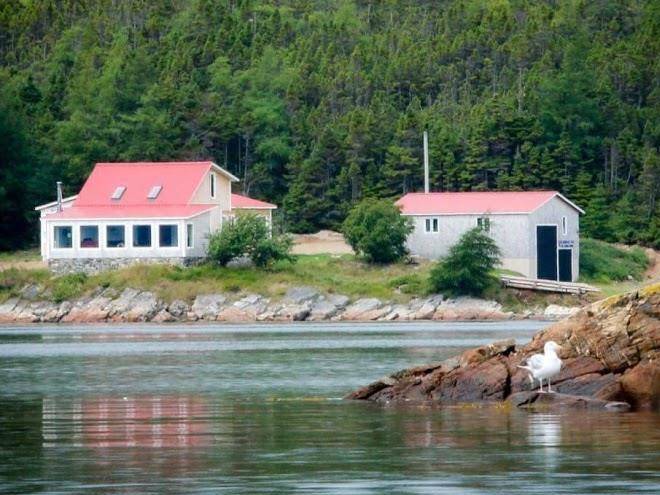 The painted fish b&b