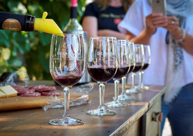 Bear river vineyards