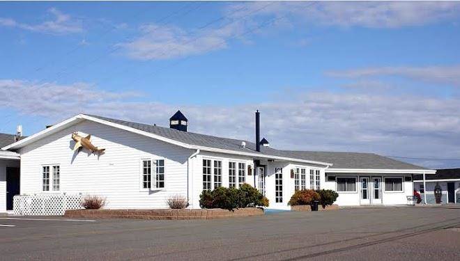 The cove motel
