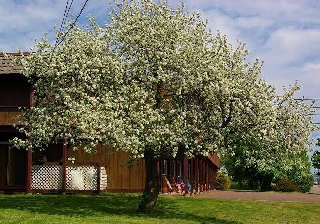 Tidal bore inn