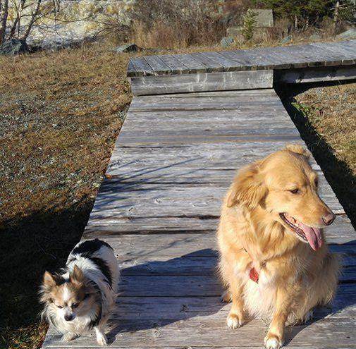 Anke's Bed Breakfast Image