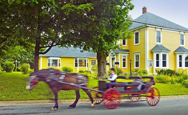 Captain's bell bed and breakfast