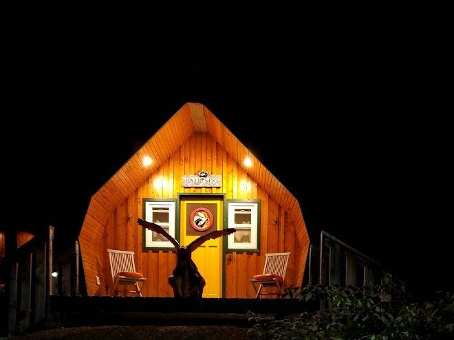 River nest wilderness cabins