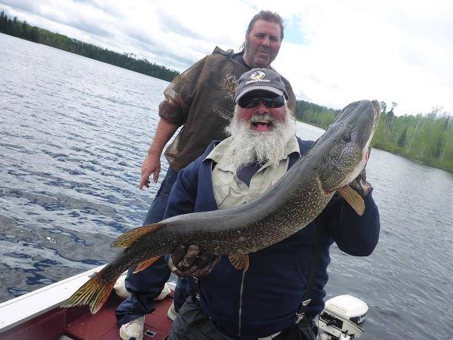 Northern walleye lodge