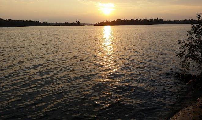 Ruffled Grouse B&b Image