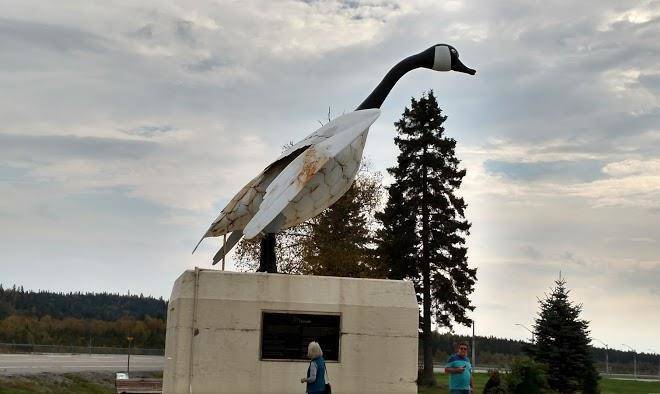 Wawa Motor Inn Image