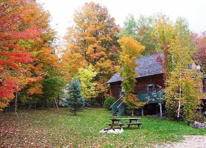 Bed and breakfast at chesley lake