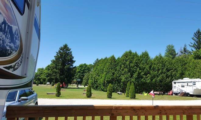 Fiddlehead resort