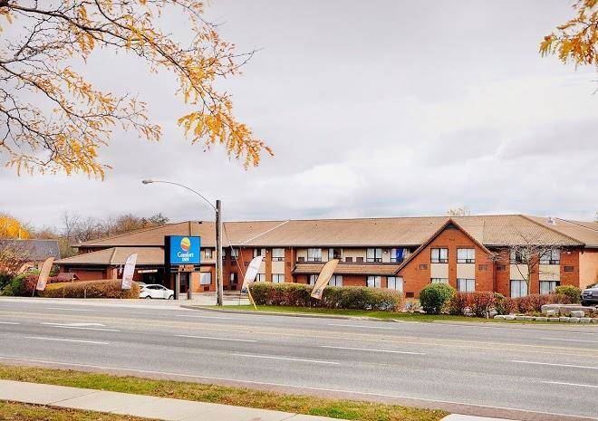Comfort inn pickering