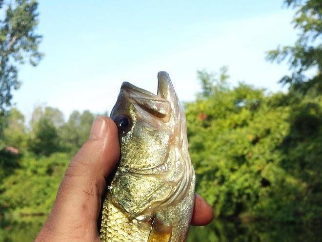 Otter river farms