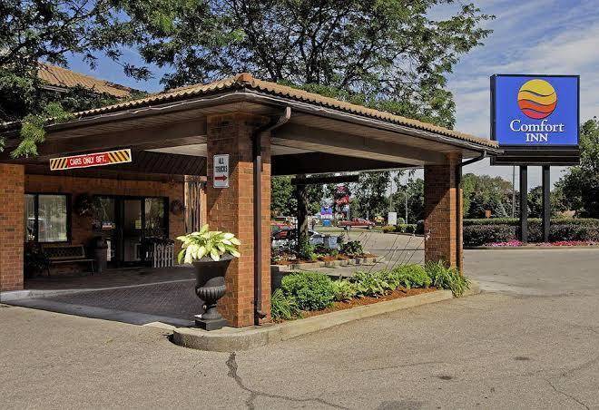 Comfort inn simcoe