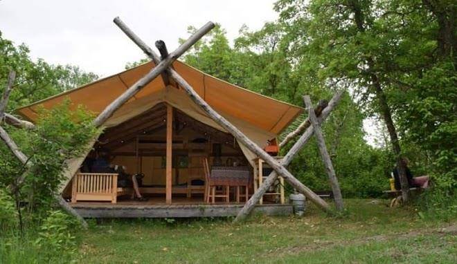 Wild woods hideaway