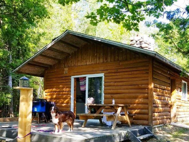 Silver birches resort