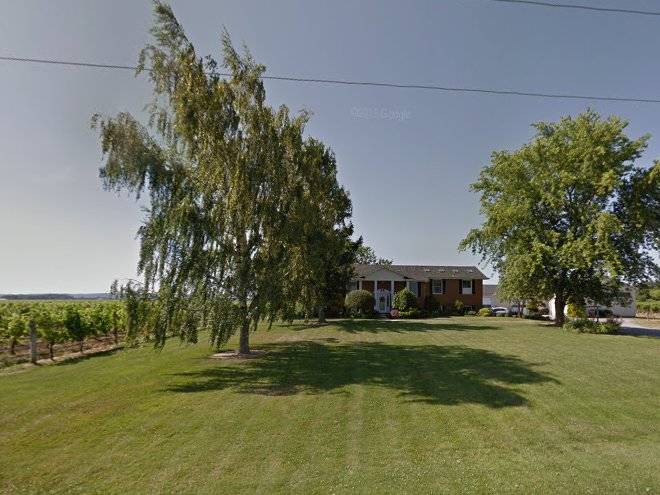 Country tyme vineyards