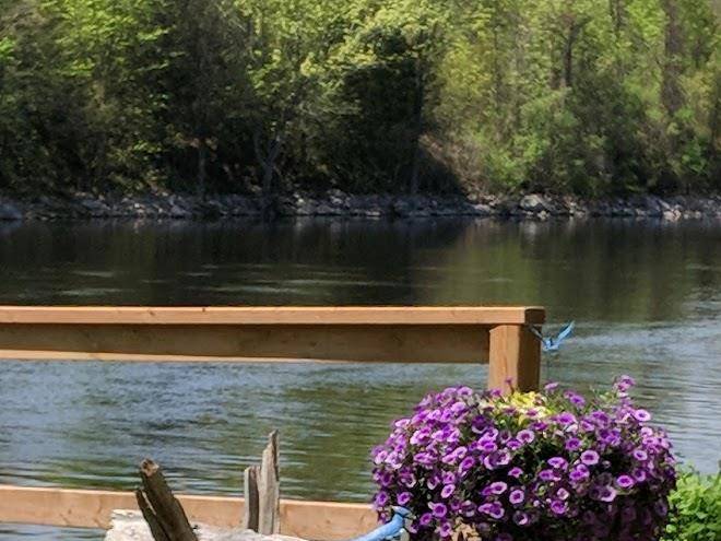 Cole's point resort & trailer pk