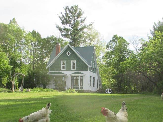 Piebird vegan farmstay