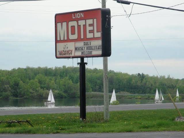 Lion motel