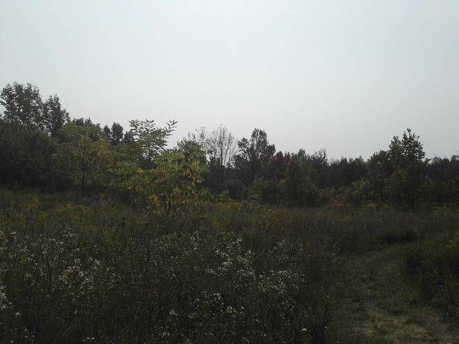 Gowganda lake lodge